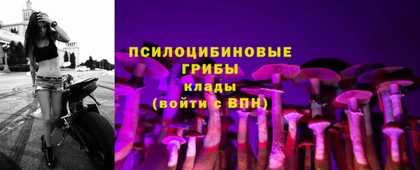дживик Алексеевка