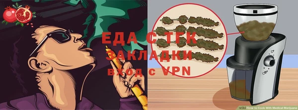 стаф Алзамай