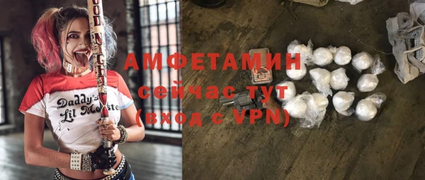 стаф Алзамай