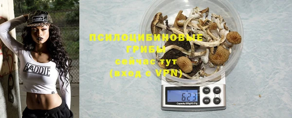 дживик Алексеевка