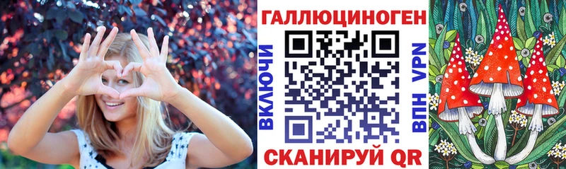 ссылка на мегу ссылка  Холм  Галлюциногенные грибы Psilocybine cubensis 