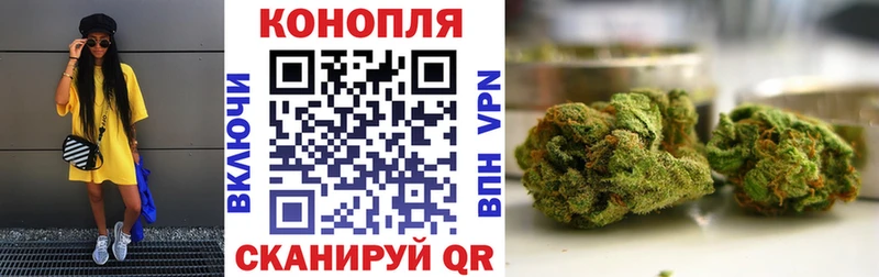 МАРИХУАНА конопля  Холм 